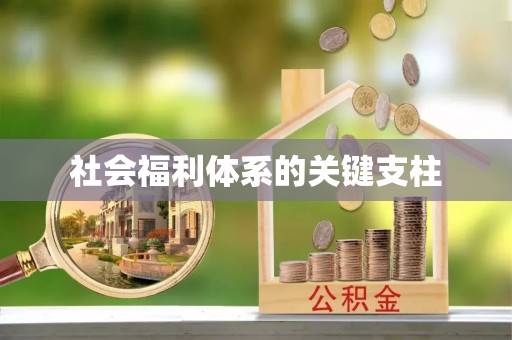 巧家社会福利体系的关键支柱