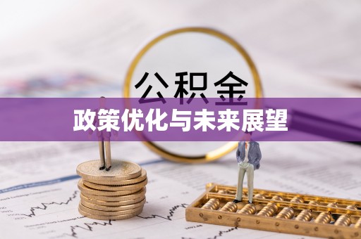 巧家政策优化与未来展望