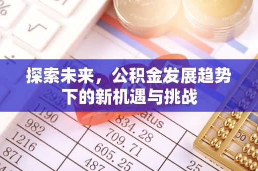 巧家探索未来，公积金发展趋势下的新机遇与挑战