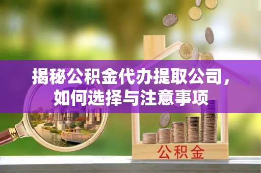 巧家揭秘公积金代办提取公司，如何选择与注意事项