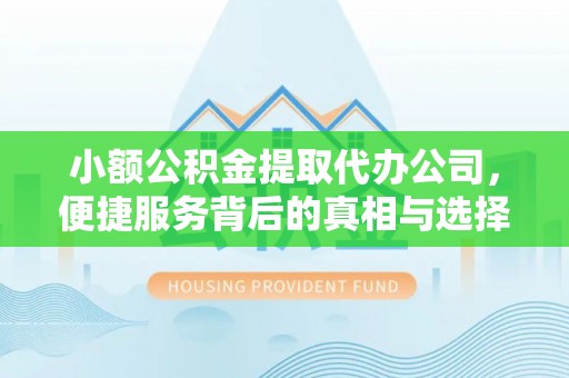 巧家小额公积金提取代办公司，便捷服务背后的真相与选择