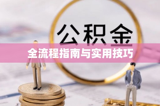 巧家全流程指南与实用技巧