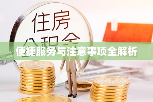 巧家便捷服务与注意事项全解析