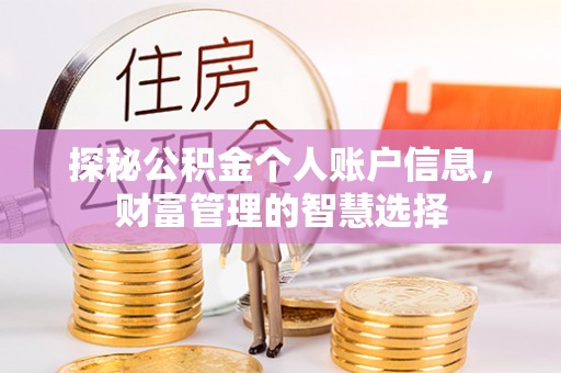 巧家探秘公积金个人账户信息，财富管理的智慧选择