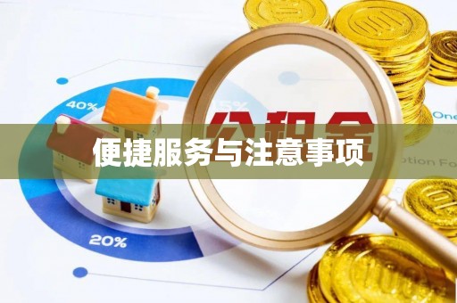 巧家便捷服务与注意事项