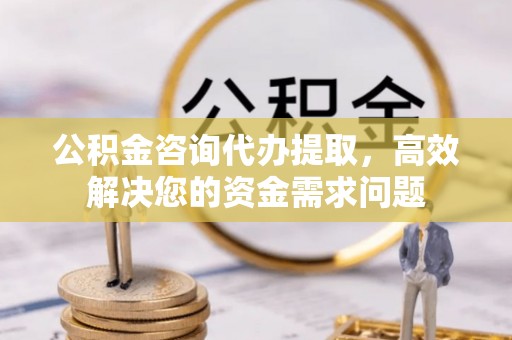 巧家公积金咨询代办提取，高效解决您的资金需求问题