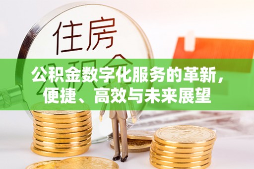 巧家公积金数字化服务的革新，便捷、高效与未来展望