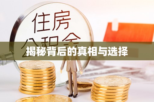 巧家揭秘背后的真相与选择
