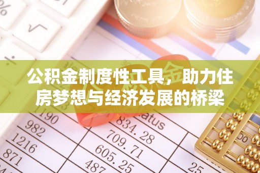 巧家公积金制度性工具，助力住房梦想与经济发展的桥梁