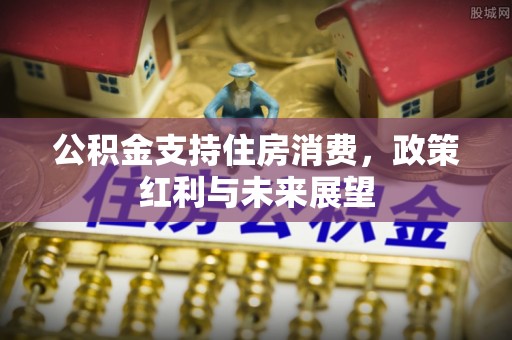 巧家公积金支持住房消费，政策红利与未来展望