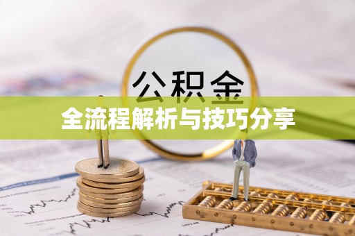 巧家全流程解析与技巧分享